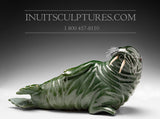 12" Dark Green Basking Walrus by Famous Jimmy Iqaluq