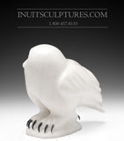 7" SIGNATURE Owl by  Manasie Akpaliapik *Vanilla*