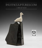 5.25" Bird on Cliff by Mark Pitseolak