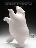 14" Chubby White Marble Dancing Bear by Nuna Parr