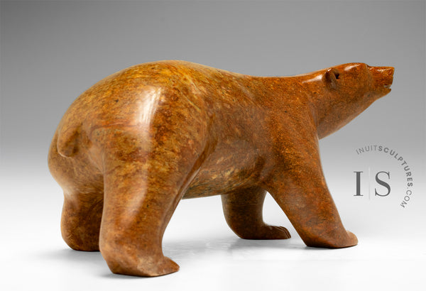 14"  Walking Bear by Bill Nasogaluak *Red Dawn* CURATOR'S CHOICE