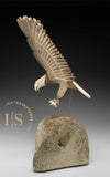 18" Majestic Eagle by Harrison Miklahook Jr. "Strike"
