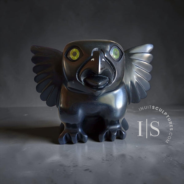 11" Owl by Toonoo Sharky *Jet*