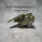 11" SIGNATURE Hawk by Killiktee Killiktee *Green Hawk Down*