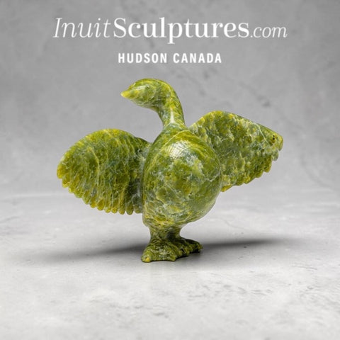 10" Goose by Pudlalik Shaa *Matador*