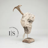 18" Shaman by Billy Merkosak *SAGE*