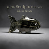 16" Arctic Char by Tuk Nuna *Nemo*
