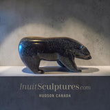 10” Walking/Scenting Bear by Noah Jaw *Under Your Nose*