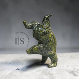 Ours Plongeur de 4" par Tim Pee *Tiny Tim 4*