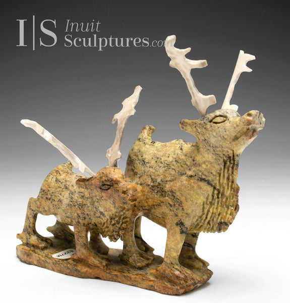 VINTAGE 9" SIGNATURE Caribou par Pavinak Petaulassie *Tundra Love* CHOIX DU CONSERVATEUR