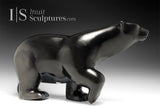 19" Walking Bear by Ashevak Adla *Midnight Prowl*