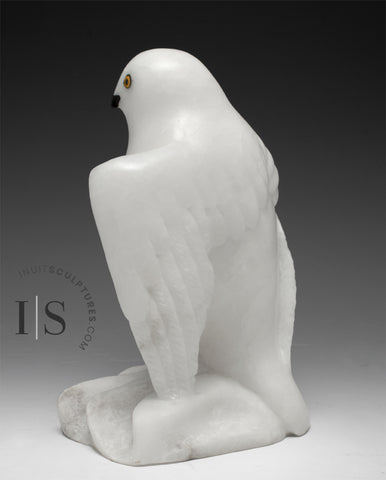 8" Snowy Owl (Uppik)  Derrald Taylor *Black Tie Affair*
