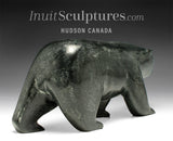10” Walking/Scenting Bear by Noah Jaw *Under Your Nose*