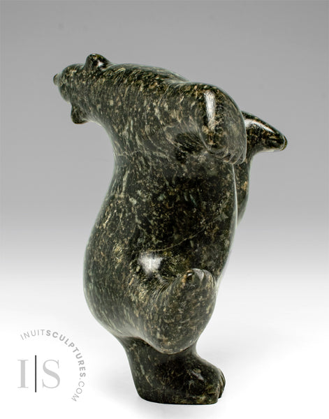 4" Dancing Bear by Noah Parr *Tango*