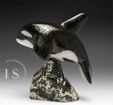 7” SIGNATURE Orca by Johnnysa Mathewsie *Poised*