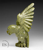8" Hawk by Toonoo Sharky *In Prayer*
