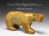 12" Orange Walking Bear by Pauloosie Tunnillie *Orange Pekoe*