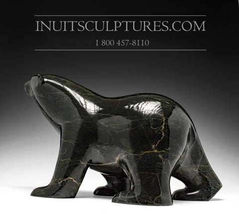 16" Striking Black Walking Bear by Ashevak Adla