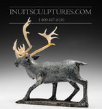 Caribou by Bobby Anavilok