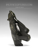 Ours dansant 7" de Johnny Papigatake