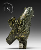 Ours dansant 7" par Davidee Shaa *Tapisserie*