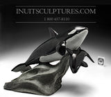 14" Mère et petit Orca (Épaulards) Baleines par Maître Derrald Taylor