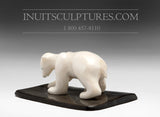 3" Miniature Ivory Bear by Tarsis Pillakapsi