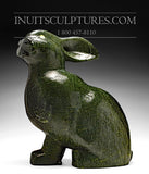 16" Arctic Hare by Johnny Lee Judea *Thumper*