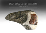 Ours et phoque 7" par Joseph Suqslaq