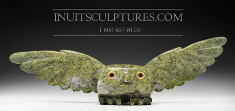 16" Masterpiece Owl Spirit by Famous Toonoo Sharky