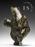 Ours dansant 7" par Davidee Shaa *Tapisserie*