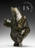 Ours dansant 7" par Davidee Shaa *Tapisserie*