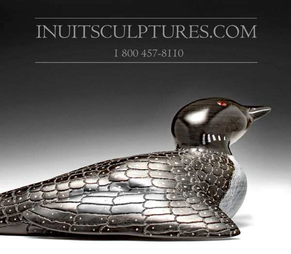 13" Curious Loon by Jimmy Iqaluq