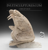 14" Walrus in Baleen by World Famous Manasie Akpaliapik