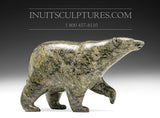 Ours qui marche 6" par Tim Pee