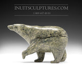 Ours qui marche 6" par Tim Pee