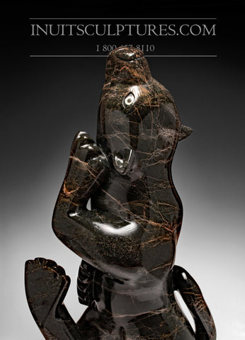 140 Lbs 30" Dark Brown Wolf Spirit  by Toonoo Sharky