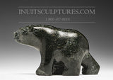 Ours qui marche 6" par David Shaa *Paix*