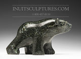 Ours qui marche 6" par David Shaa *Paix*