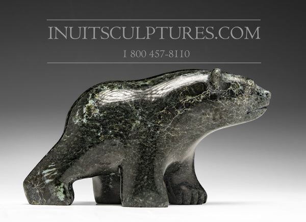 Ours qui marche 6" par David Shaa *Paix*
