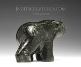 Ours qui marche 6" par David Shaa *Paix*